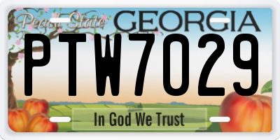 GA license plate PTW7029