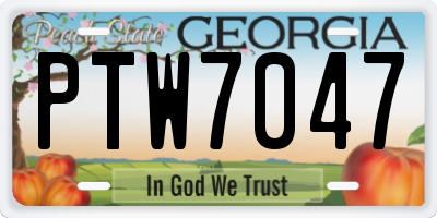 GA license plate PTW7047