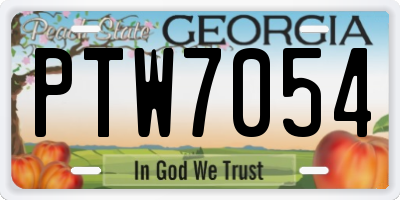 GA license plate PTW7054