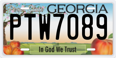 GA license plate PTW7089