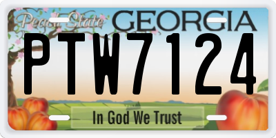 GA license plate PTW7124