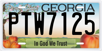 GA license plate PTW7125
