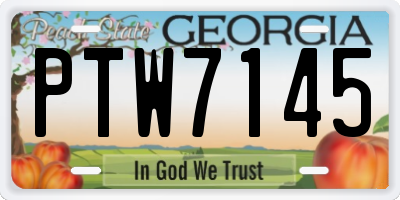 GA license plate PTW7145