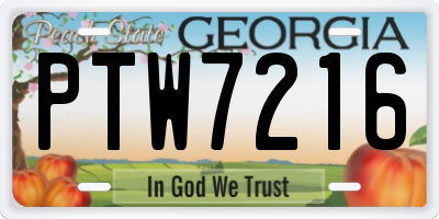 GA license plate PTW7216