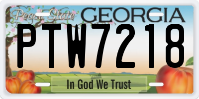GA license plate PTW7218