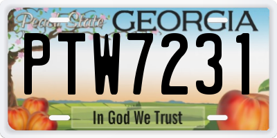 GA license plate PTW7231
