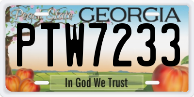 GA license plate PTW7233