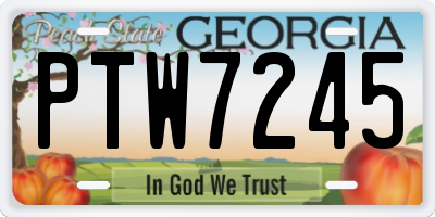 GA license plate PTW7245