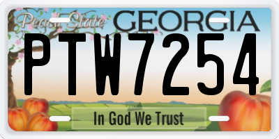 GA license plate PTW7254