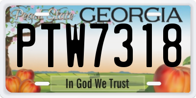 GA license plate PTW7318