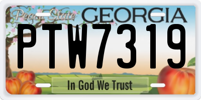 GA license plate PTW7319