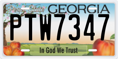 GA license plate PTW7347