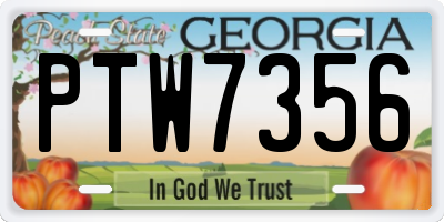 GA license plate PTW7356
