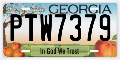 GA license plate PTW7379