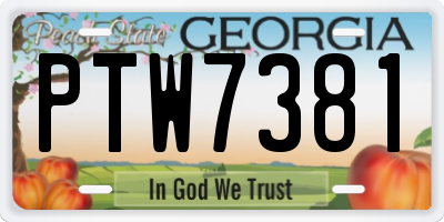 GA license plate PTW7381