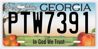 GA license plate PTW7391