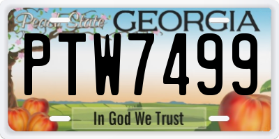 GA license plate PTW7499
