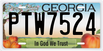 GA license plate PTW7524