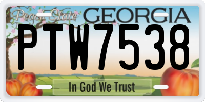 GA license plate PTW7538