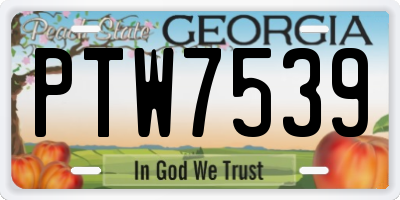 GA license plate PTW7539