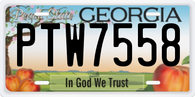 GA license plate PTW7558
