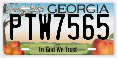 GA license plate PTW7565