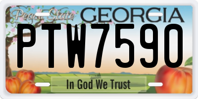 GA license plate PTW7590