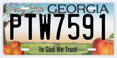 GA license plate PTW7591