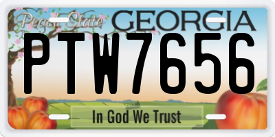 GA license plate PTW7656