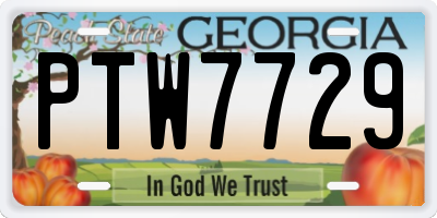 GA license plate PTW7729