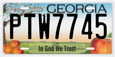 GA license plate PTW7745