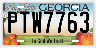GA license plate PTW7763