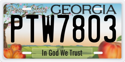 GA license plate PTW7803