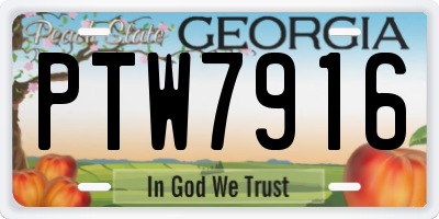 GA license plate PTW7916