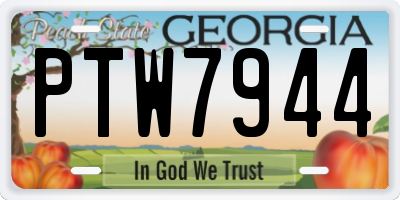 GA license plate PTW7944