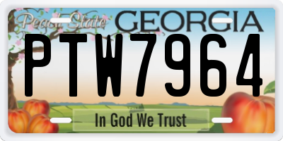 GA license plate PTW7964