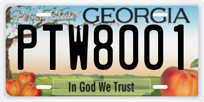 GA license plate PTW8001