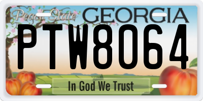 GA license plate PTW8064
