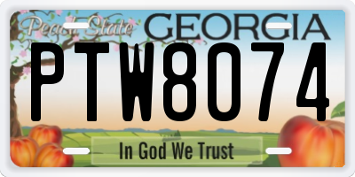GA license plate PTW8074