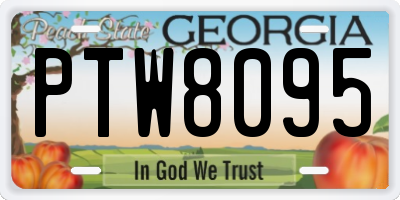 GA license plate PTW8095