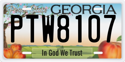 GA license plate PTW8107