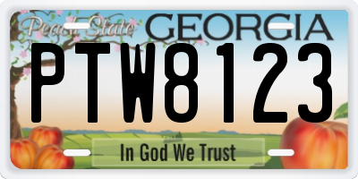GA license plate PTW8123