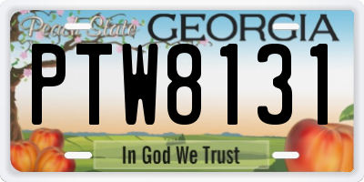 GA license plate PTW8131