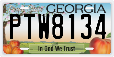 GA license plate PTW8134