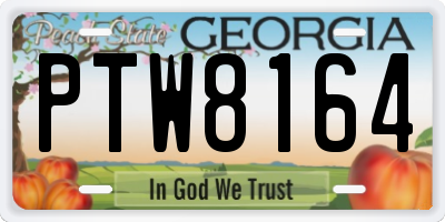 GA license plate PTW8164