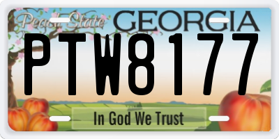GA license plate PTW8177