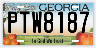 GA license plate PTW8187