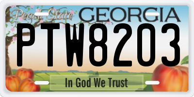 GA license plate PTW8203