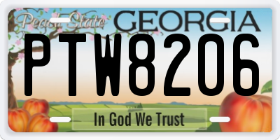 GA license plate PTW8206