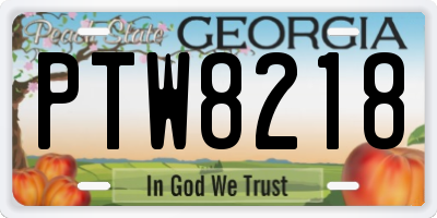GA license plate PTW8218